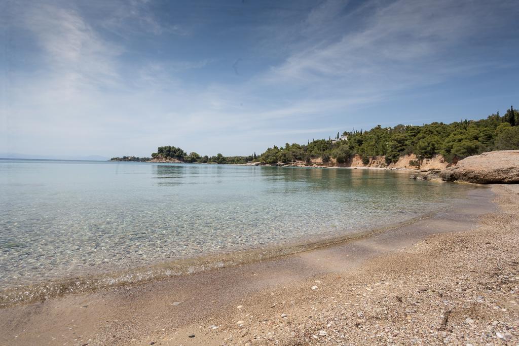 Dream Summer Villa Porto Cheli Buitenkant foto
