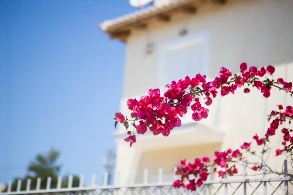 Dream Summer Villa Porto Cheli Buitenkant foto